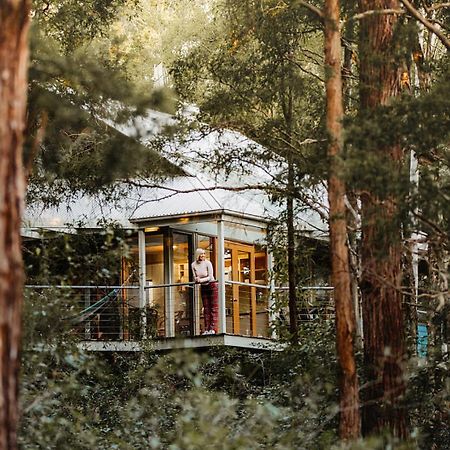 Bombah Point Eco Cottages Bulahdelah Εξωτερικό φωτογραφία